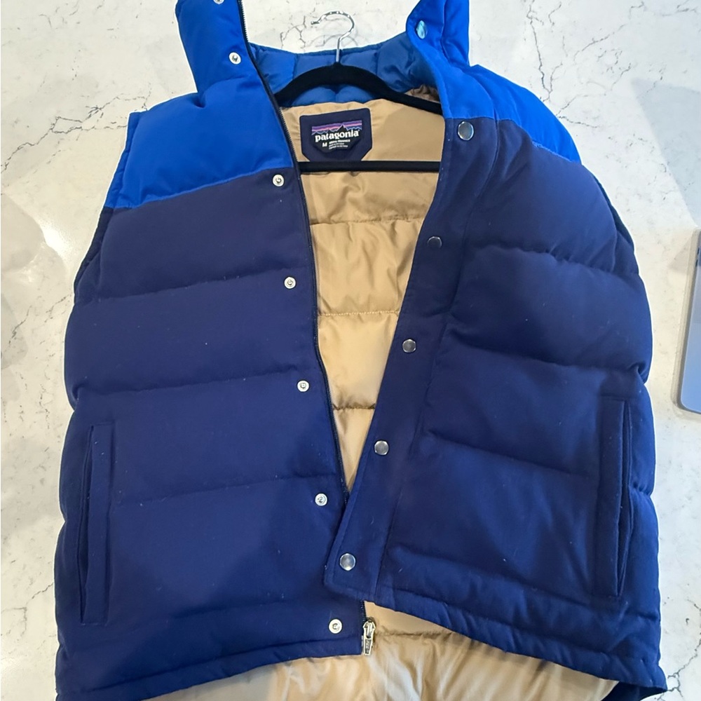 Patagonia Goosedown vest